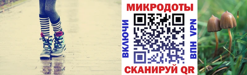Галлюциногенные грибы прущие грибы Верещагино